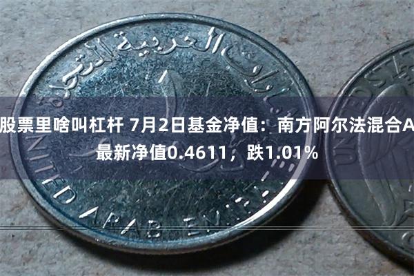 股票里啥叫杠杆 7月2日基金净值：南方阿尔法混合A最新净值0.4611，跌1.01%