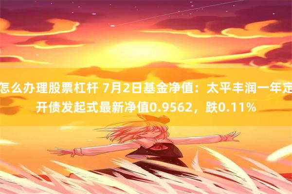 怎么办理股票杠杆 7月2日基金净值：太平丰润一年定开债发起式最新净值0.9562，跌0.11%