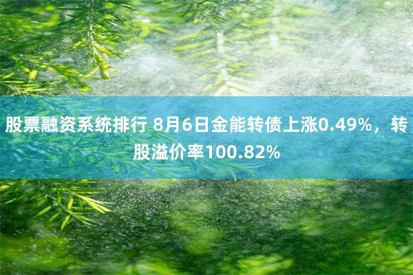 股票融资系统排行 8月6日金能转债上涨0.49%，转股溢价率100.82%