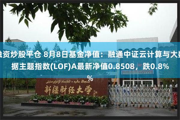 融资炒股平仓 8月8日基金净值：融通中证云计算与大数据主题指数(LOF)A最新净值0.8508，跌0.8%