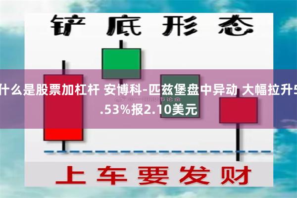 什么是股票加杠杆 安博科-匹兹堡盘中异动 大幅拉升5.53%报2.10美元