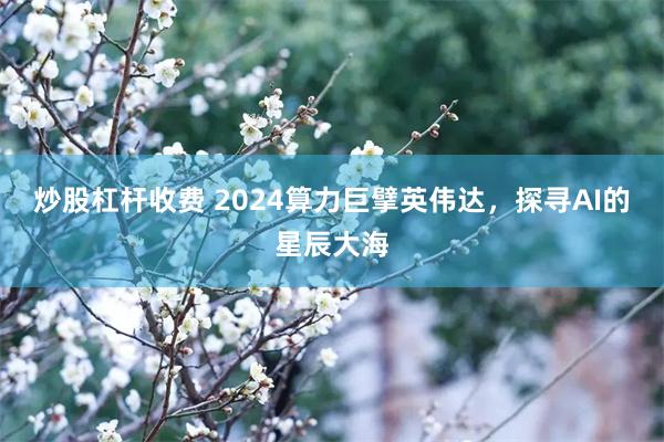 炒股杠杆收费 2024算力巨擘英伟达，探寻AI的星辰大海