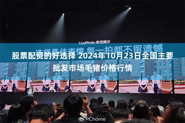 股票配资的好选择 2024年10月23日全国主要批发市场毛猪价格行情