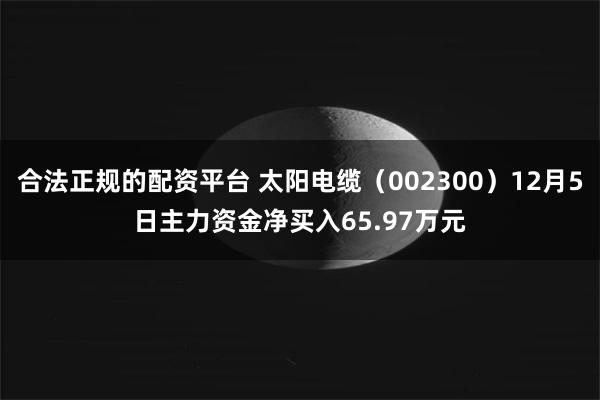 合法正规的配资平台 太阳电缆（002300）12月5日主力资金净买入65.97万元