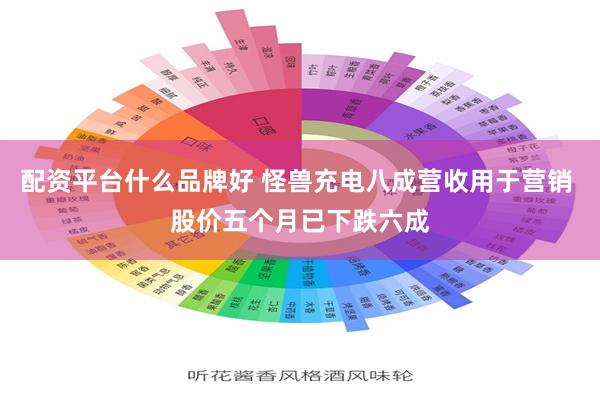 配资平台什么品牌好 怪兽充电八成营收用于营销 股价五个月已下跌六成