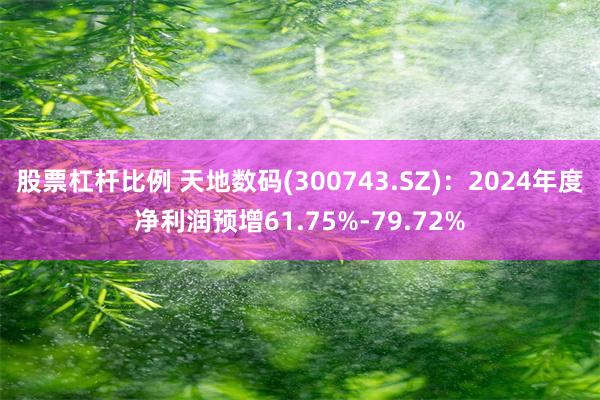 股票杠杆比例 天地数码(300743.SZ)：2024年度净利润预增61.75%-79.72%