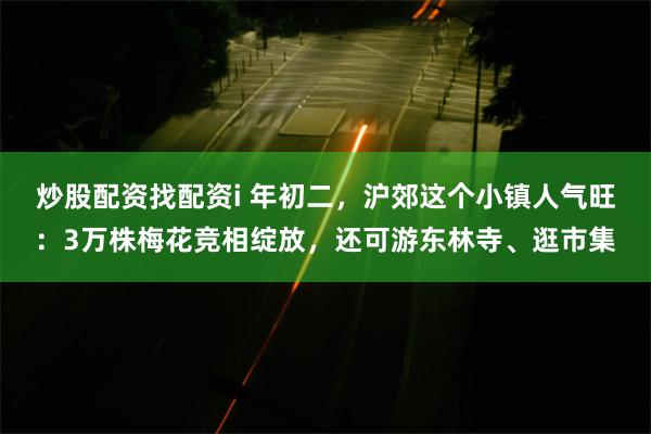 炒股配资找配资i 年初二，沪郊这个小镇人气旺：3万株梅花竞相绽放，还可游东林寺、逛市集