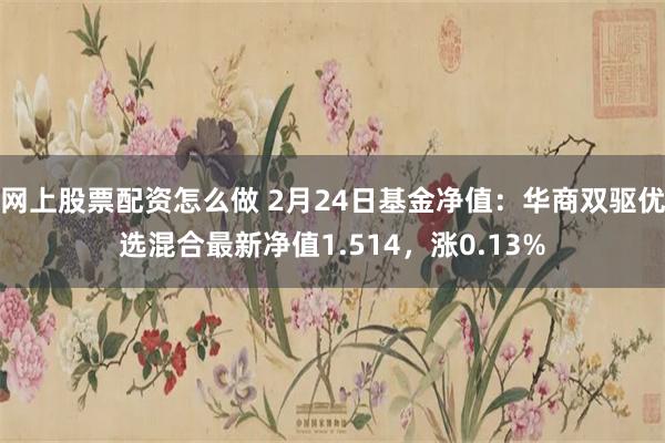 网上股票配资怎么做 2月24日基金净值：华商双驱优选混合最新净值1.514，涨0.13%